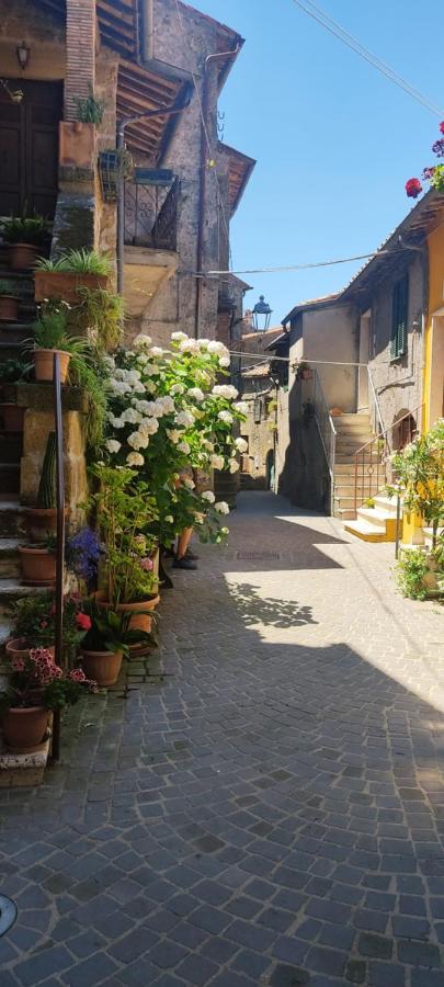 Ferienwohnung La Chascona Di Farnese Casa Di Tufo Nel Borgo Exterior foto